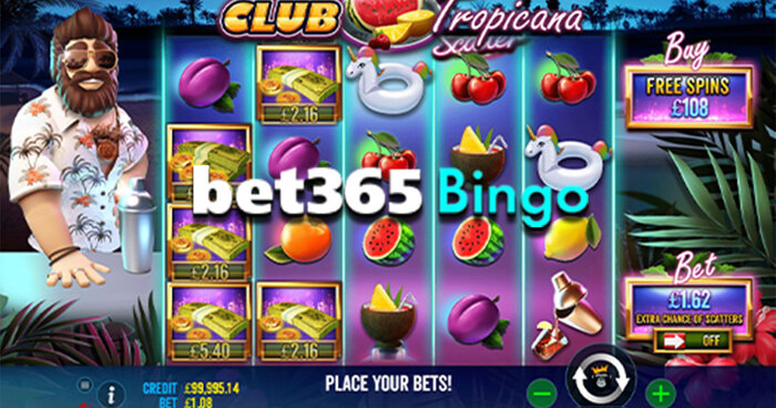 Bingo en bet365 opciones 