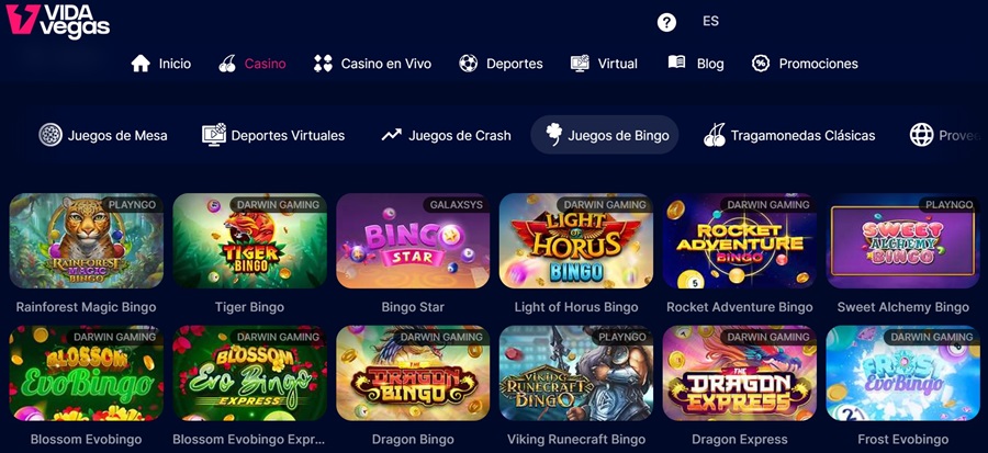 Video Bingo online en VidaVegas Video Bingo online en VidaVegas